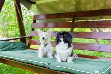 Poppelstrand Nuuksio, Pet Friendly Guest Apartment Exterior foto
